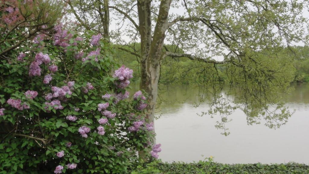 Chambre D'Hotes Au Fil De L'Eau Saint-Martin-Belle-Roche Kültér fotó